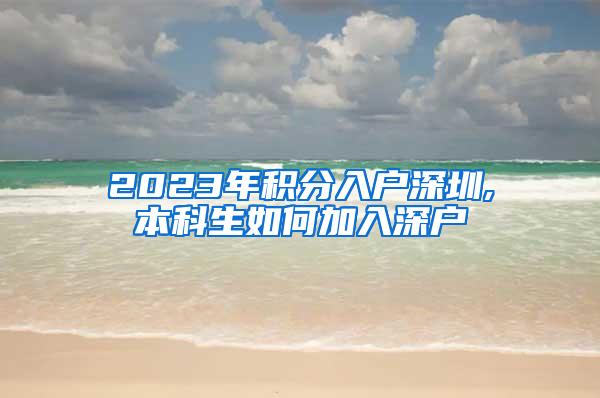 2023年积分入户深圳,本科生如何加入深户