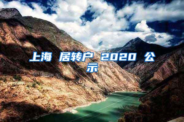 上海 居转户 2020 公示