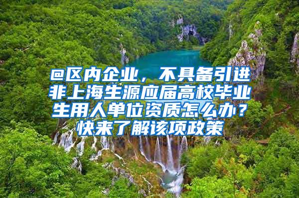 @区内企业，不具备引进非上海生源应届高校毕业生用人单位资质怎么办？快来了解该项政策