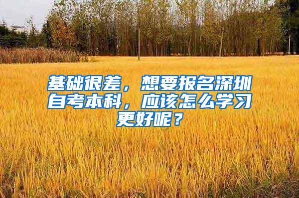 基础很差，想要报名深圳自考本科，应该怎么学习更好呢？