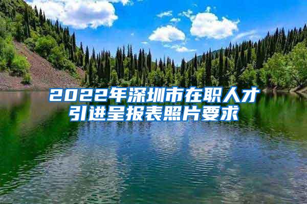 2022年深圳市在职人才引进呈报表照片要求