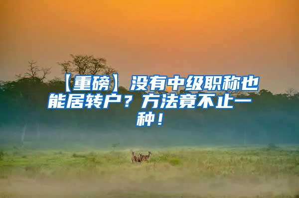 【重磅】没有中级职称也能居转户？方法竟不止一种！