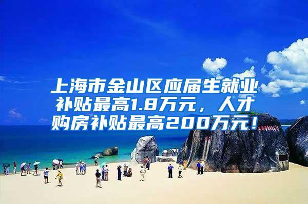上海市金山区应届生就业补贴最高1.8万元，人才购房补贴最高200万元！