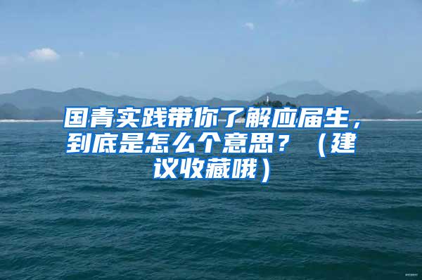 国青实践带你了解应届生，到底是怎么个意思？（建议收藏哦）