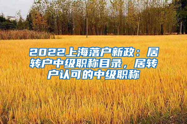 2022上海落户新政：居转户中级职称目录，居转户认可的中级职称