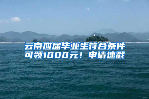 云南应届毕业生符合条件可领1000元！申请速戳→