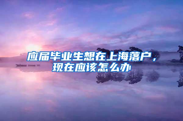 应届毕业生想在上海落户，现在应该怎么办