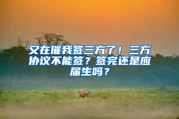 又在催我签三方了！三方协议不能签？签完还是应届生吗？