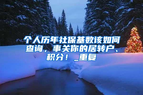 个人历年社保基数该如何查询，事关你的居转户、积分！_重复