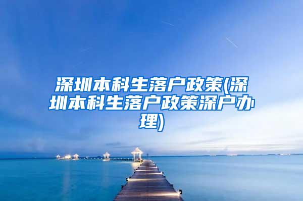 深圳本科生落户政策(深圳本科生落户政策深户办理)