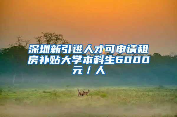 深圳新引进人才可申请租房补贴大学本科生6000元／人