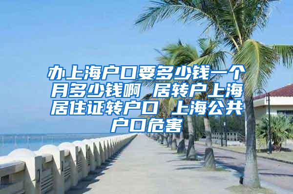 办上海户口要多少钱一个月多少钱啊 居转户上海居住证转户口 上海公共户口危害