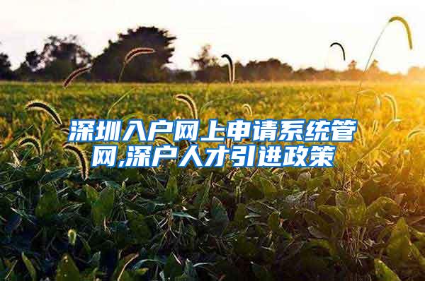 深圳入户网上申请系统管网,深户人才引进政策