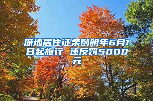 深圳居住证条例明年6月1日起施行 违反罚5000元