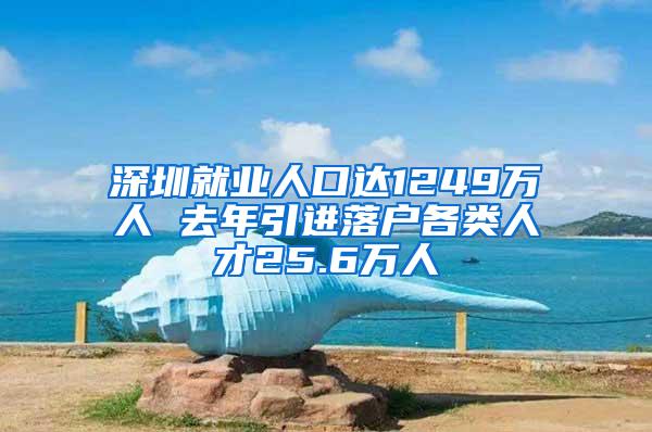 深圳就业人口达1249万人 去年引进落户各类人才25.6万人