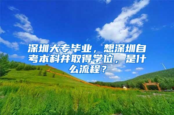 深圳大专毕业，想深圳自考本科并取得学位，是什么流程？