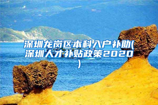 深圳龙岗区本科入户补助(深圳人才补贴政策2020)