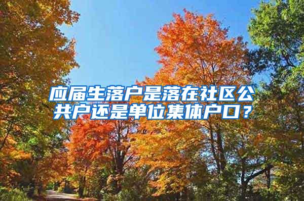 应届生落户是落在社区公共户还是单位集体户口？