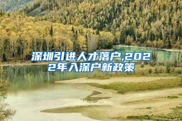 深圳引进人才落户,2022年入深户新政策