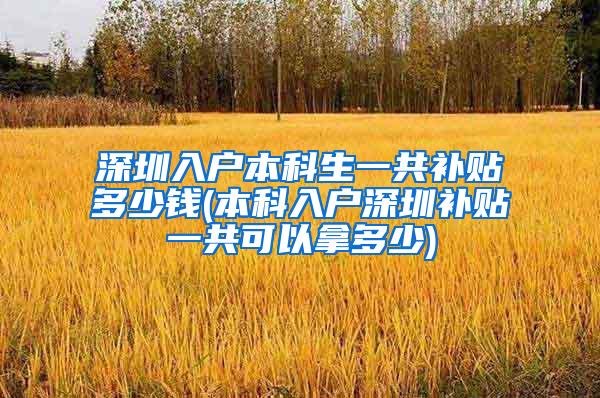 深圳入户本科生一共补贴多少钱(本科入户深圳补贴一共可以拿多少)