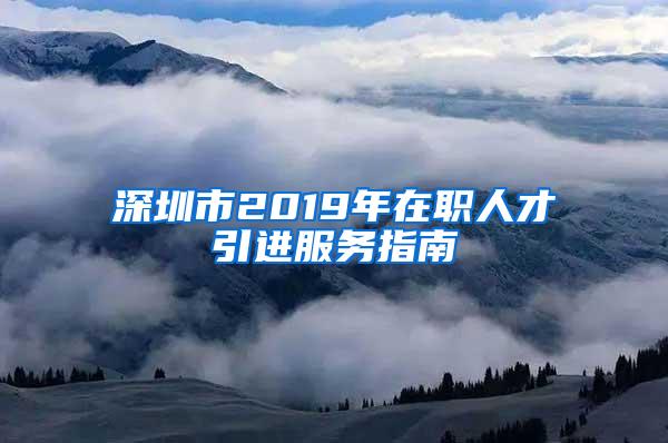 深圳市2019年在职人才引进服务指南