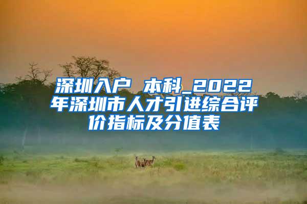 深圳入户 本科_2022年深圳市人才引进综合评价指标及分值表