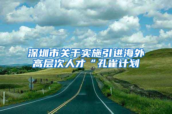 深圳市关于实施引进海外高层次人才“孔雀计划