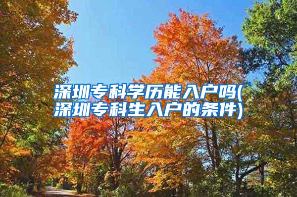 深圳专科学历能入户吗(深圳专科生入户的条件)