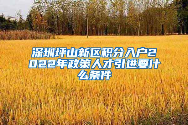 深圳坪山新区积分入户2022年政策人才引进要什么条件