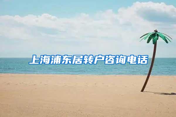 上海浦东居转户咨询电话