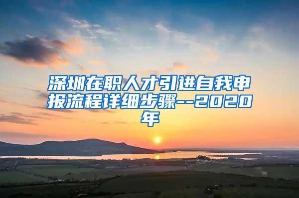 深圳在职人才引进自我申报流程详细步骤--2020年