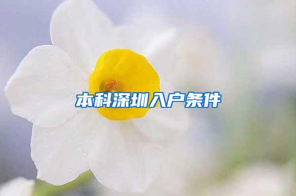 本科深圳入户条件