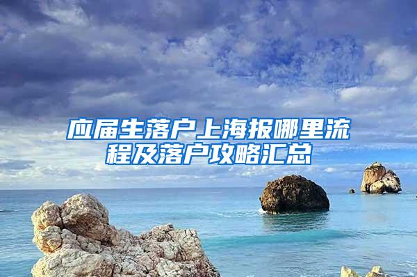 应届生落户上海报哪里流程及落户攻略汇总