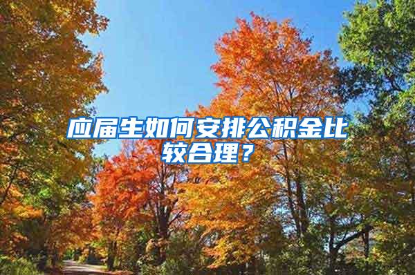 应届生如何安排公积金比较合理？