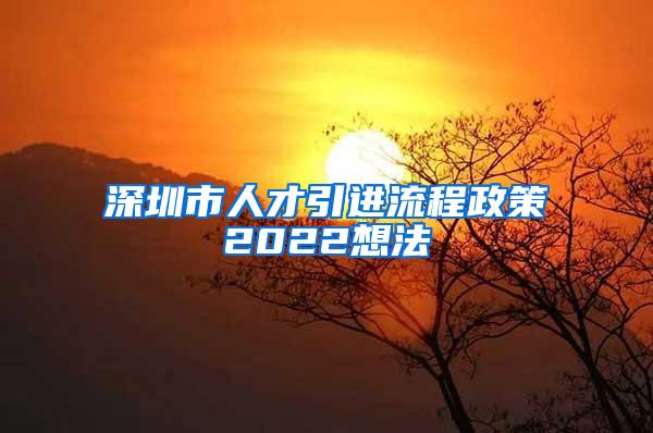 深圳市人才引进流程政策2022想法