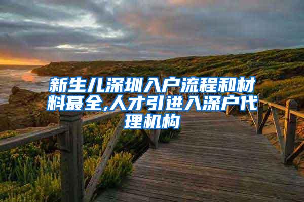 新生儿深圳入户流程和材料蕞全,人才引进入深户代理机构