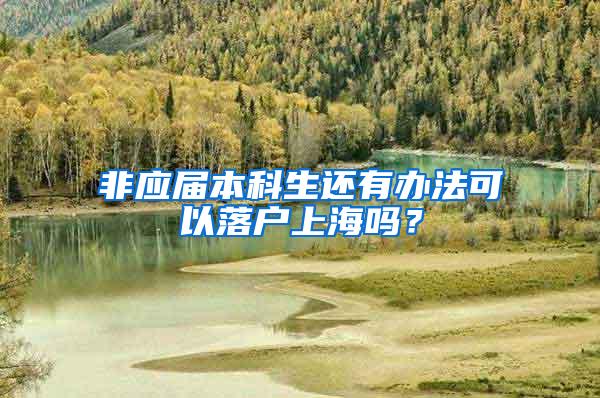 非应届本科生还有办法可以落户上海吗？