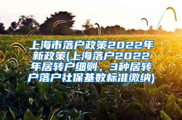 上海市落户政策2022年新政策(上海落户2022年居转户细则，3种居转户落户社保基数标准缴纳)