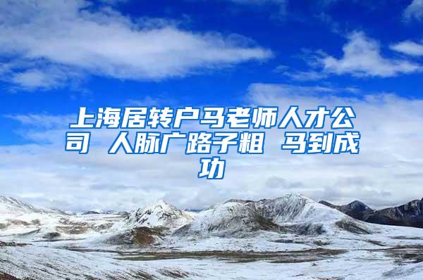 上海居转户马老师人才公司 人脉广路子粗 马到成功