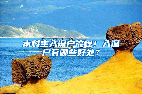 本科生入深户流程！入深户有哪些好处？