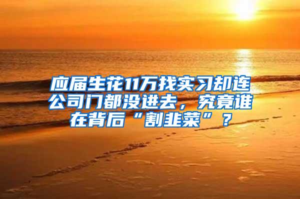 应届生花11万找实习却连公司门都没进去，究竟谁在背后“割韭菜”？