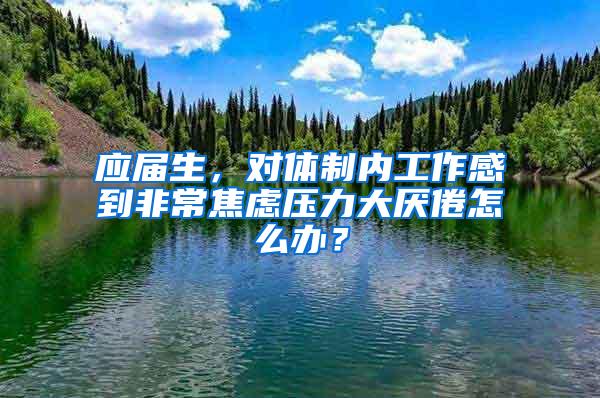 应届生，对体制内工作感到非常焦虑压力大厌倦怎么办？