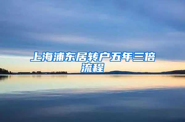 上海浦东居转户五年三倍流程