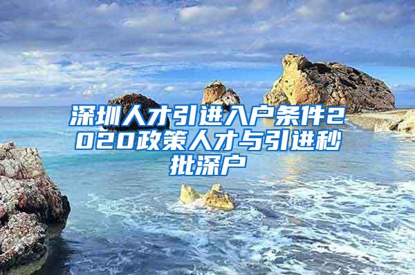 深圳人才引进入户条件2020政策人才与引进秒批深户