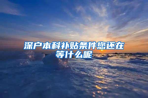 深户本科补贴条件您还在等什么呢