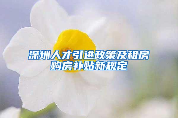 深圳人才引进政策及租房购房补贴新规定