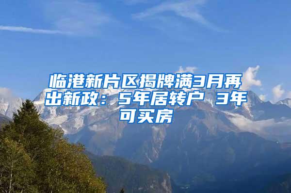 临港新片区揭牌满3月再出新政：5年居转户 3年可买房