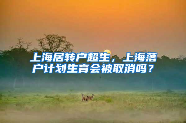 上海居转户超生，上海落户计划生育会被取消吗？