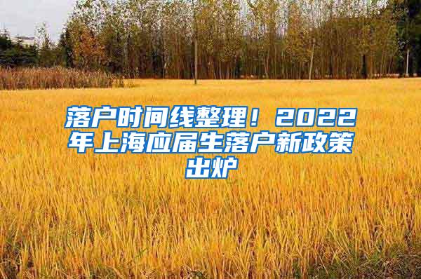 落户时间线整理！2022年上海应届生落户新政策出炉