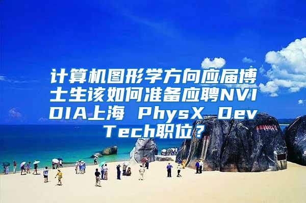 计算机图形学方向应届博士生该如何准备应聘NVIDIA上海 PhysX DevTech职位？
